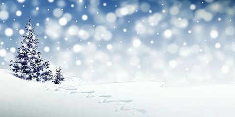 Verschneite Landschaft mit Christbaum Verschneite Landschaft mit Christbaum