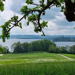 Blick ins Flachgauer Seengebiet