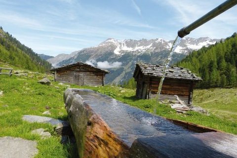 Auf der Alm Auf der Alm