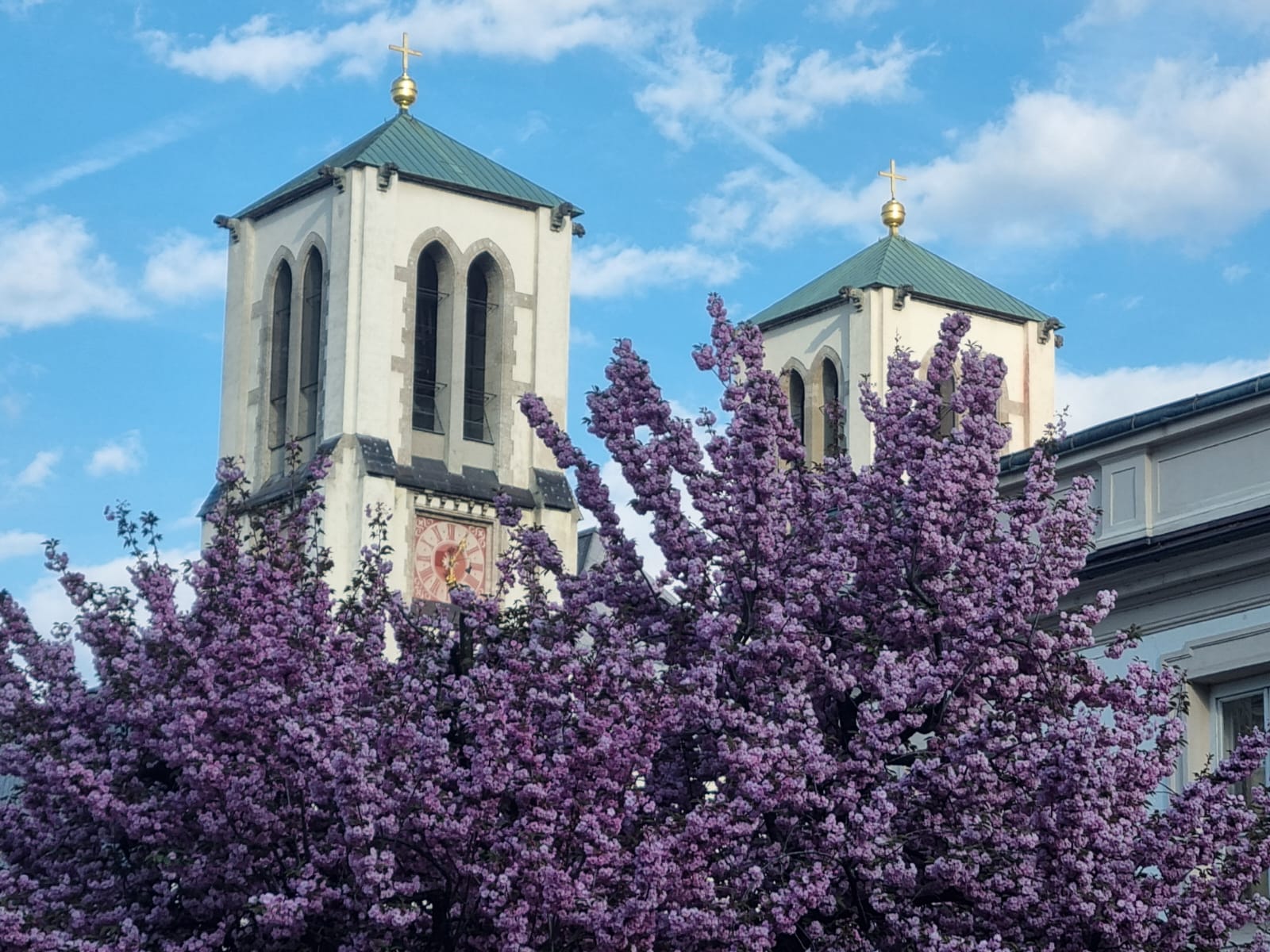 Andräkirche mit blühendem Baum am Mirabellplatz